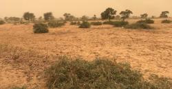 Vente de Terrain Agricole de 3,63 hectares à Thiénaba