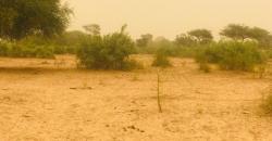 Terrain Agricole de 02 hectares en vente à Thiénaba