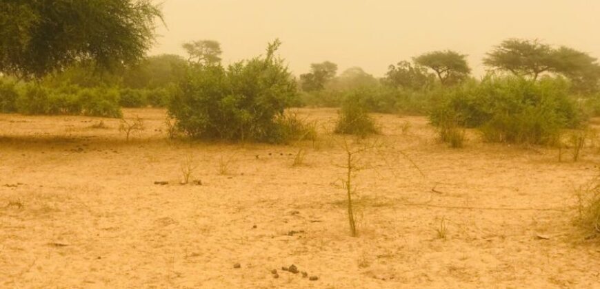 Terrain Agricole de 02 hectares en vente à Thiénaba