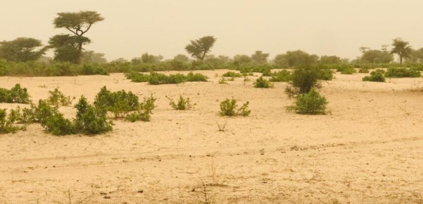 Vente de terrain Agricole de 09 hectares à Thiénaba