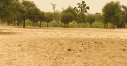 Vente de terrain Agricole de 09 hectares à Thiénaba
