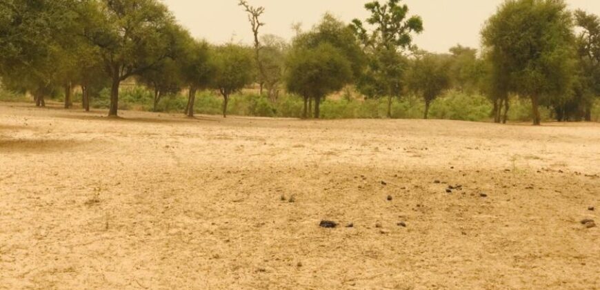 Vente de terrain Agricole de 09 hectares à Thiénaba