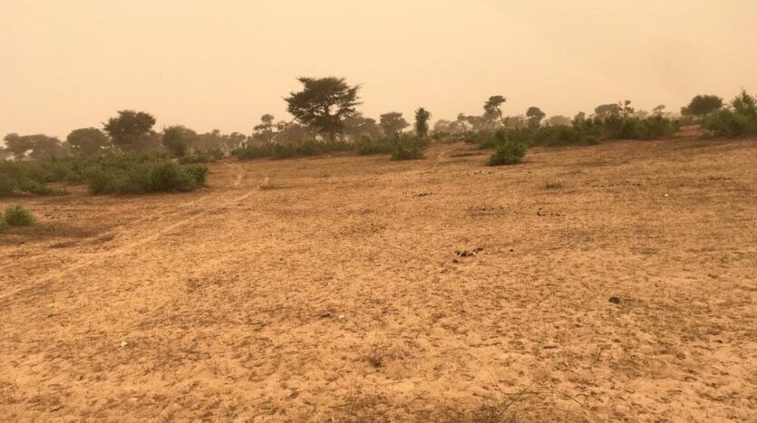 Terrain Agricole de 3,5 hectares à Thies Thiénaba