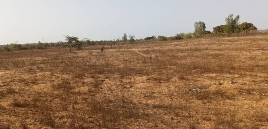 A vendre terrain Agricole de 8,8 hectares à Diama