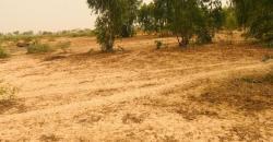 Terrain Agricole de 50 hectares à vendre à Touba Toul