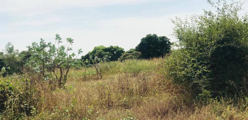 A vendre un terrain agricole de 11,66 ha à bambilor