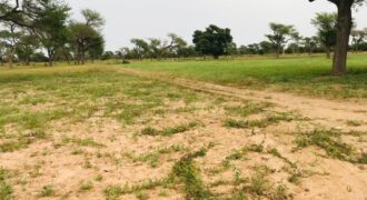 Vente de terrain agricole 1,56 hectare a Touba Toul