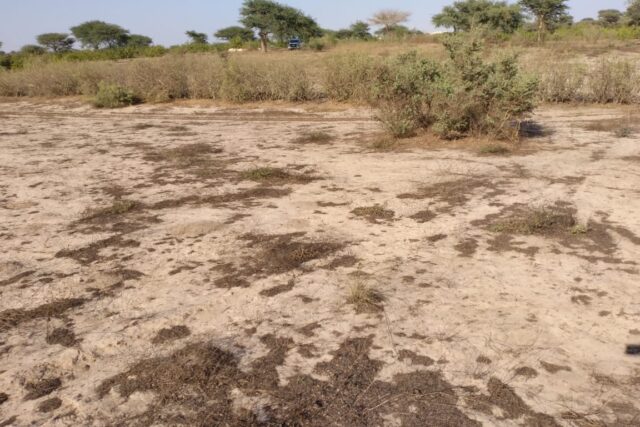 Terrain agricole 13.289 m² à vendre – Taïba Ndiaye