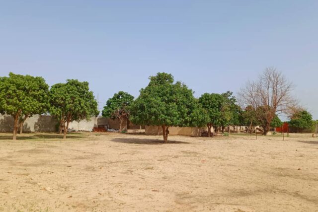 Exploitation agricole 5.000 m² à louer – Keur Madaro