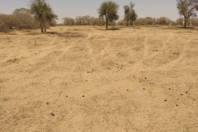 Terrain de 1,43 hectare à vendre – Sagata