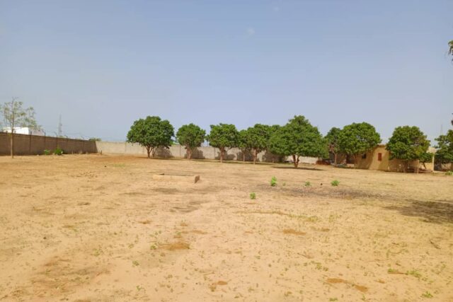 Exploitation agricole 5.000 m² à louer – Keur Madaro