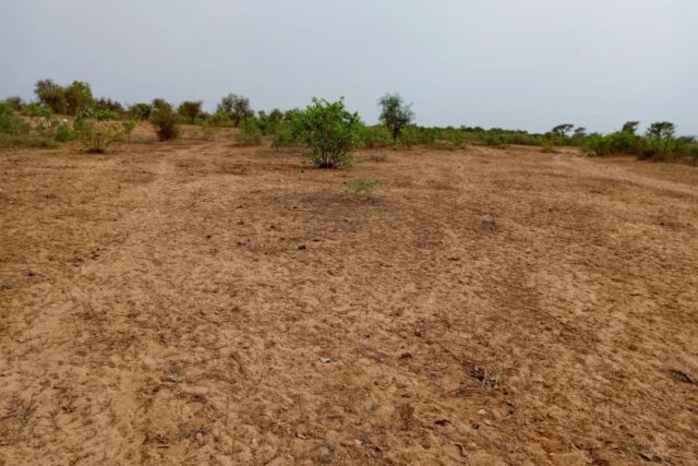 Terrain agricole 11.000 m² à vendre – Khombole