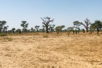 Terrain agricole 12.922 m² à vendre – Notto Diobass