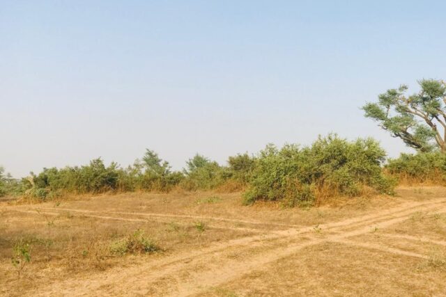 Terrain agricole 390.000 m² à vendre – Koul