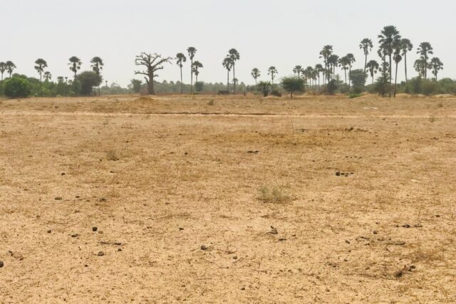Terrain agricole 9.103 m² à vendre – Fimela