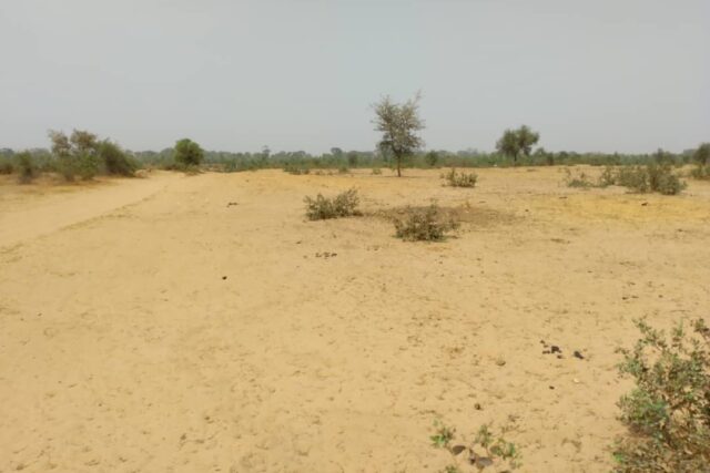 Terrain agricole 12.859 m² à vendre – Niakhar
