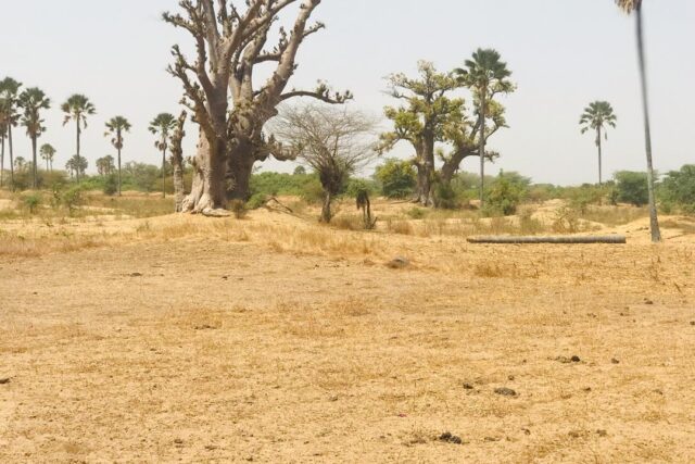 Terrain agricole 9.103 m² à vendre – Fimela