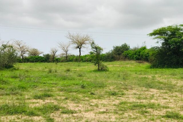 Terrain agricole 10.283 m² à vendre – Notto Gouye Diama