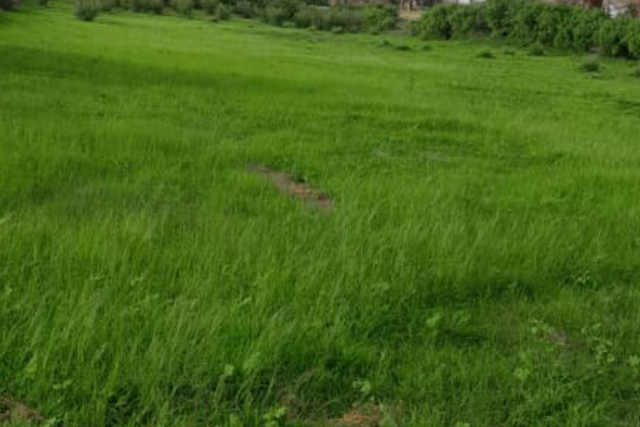 Terrain agricole 10.000 m² à vendre – Notto Diobass