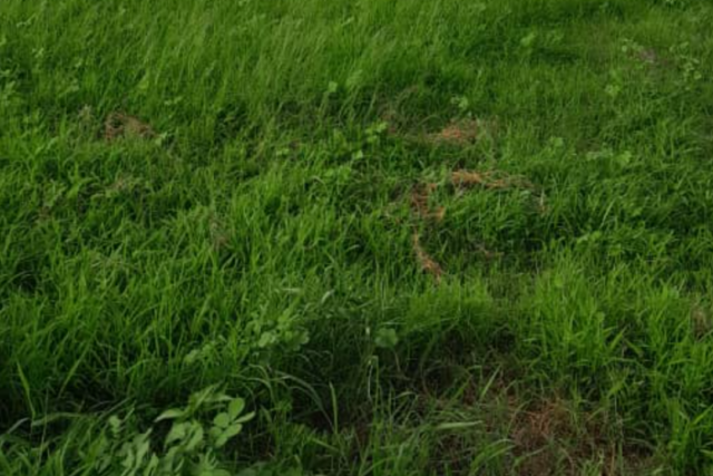 Terrain agricole 10.000 m² à vendre – Notto Diobass