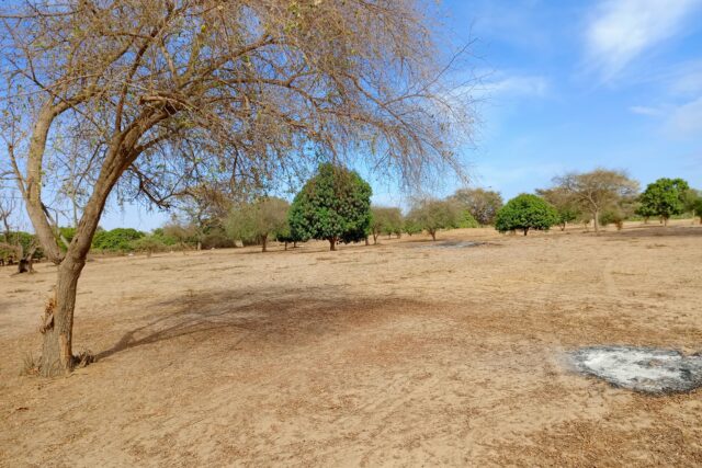 Terrain agricole 11.186 m² à vendre – Tassette