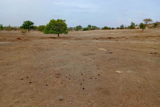 Terrain agricole 10.439 m² à vendre – Notto Diobass
