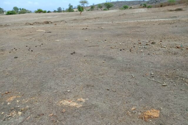 Terrain agricole 10.439 m² à vendre – Notto Diobass