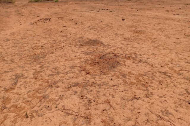 Terrain agricole 12.709 m² à vendre – Notto Diobass
