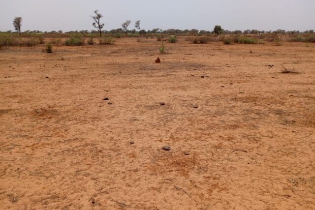 Terrain agricole 12.709 m² à vendre – Notto Diobass