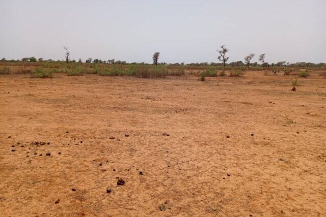 Terrain agricole 12.709 m² à vendre – Notto Diobass