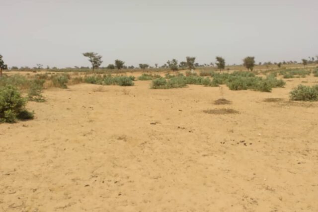 Terrain agricole 10.996 m² à vendre – Sindia