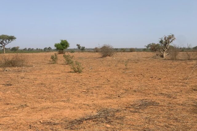 Terrain agricole 13.094 m² à vendre – Notto Diobass