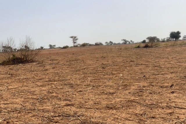 Terrain agricole 13.094 m² à vendre – Notto Diobass