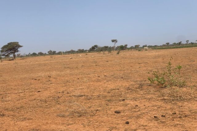 Terrain agricole 13.094 m² à vendre – Notto Diobass