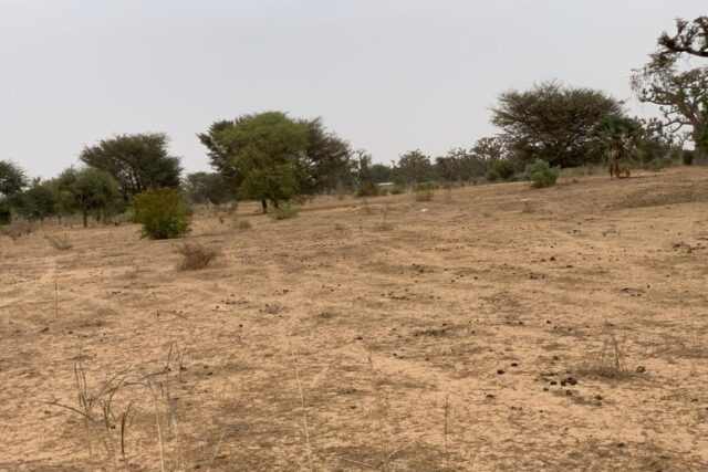 Terrain agricole 13.783 m² à vendre – Notto Diobass