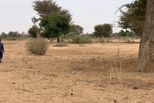 Terrain agricole 13.783 m² à vendre – Notto Diobass