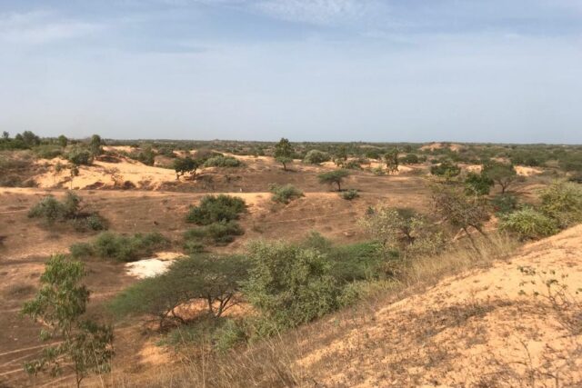 Terrain de 1,59 hectare à vendre – Diokoul Diawrigne