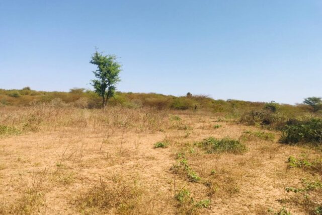 Terrain agricole 11.169 m² à vendre – Notto Diobass
