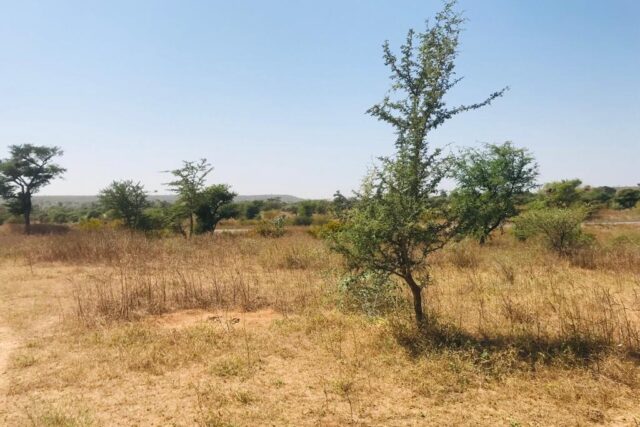 Terrain agricole 11.169 m² à vendre – Notto Diobass
