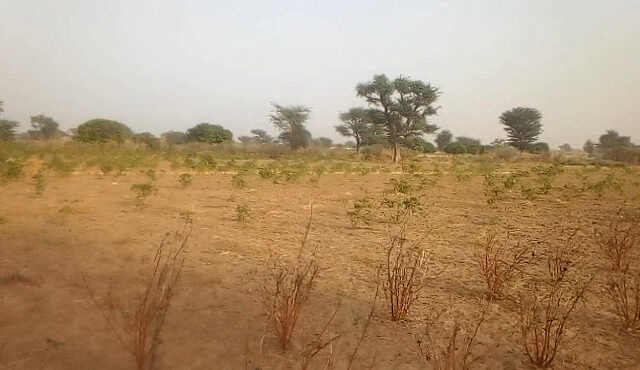 Terrain agricole 13.400 m² à vendre – Sindia