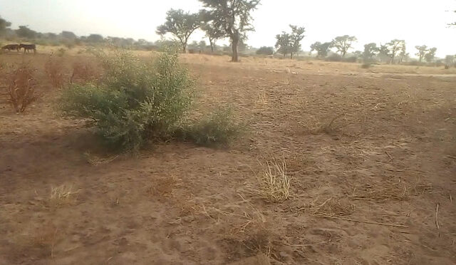 Terrain agricole 13.400 m² à vendre – Sindia