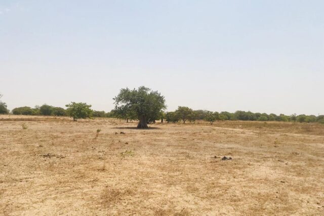 Terrain agricole 10.425 m² à vendre – Diossong