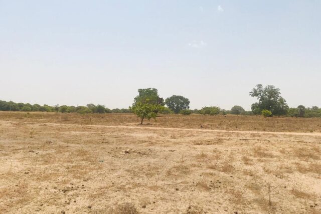 Terrain agricole 10.425 m² à vendre – Diossong