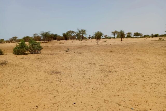 Terrain agricole 11.450 m² à vendre – Diokoul Diawrigne