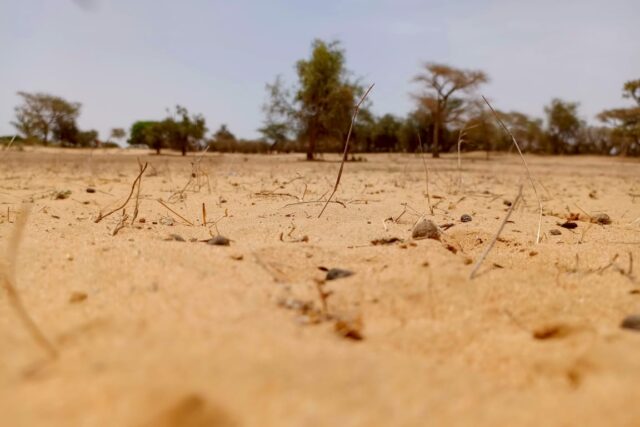 Terrain agricole 11.450 m² à vendre – Diokoul Diawrigne