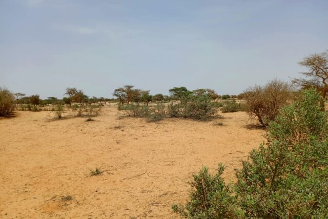 Terrain agricole 11.657 m² à vendre – Diokoul Diawrigne