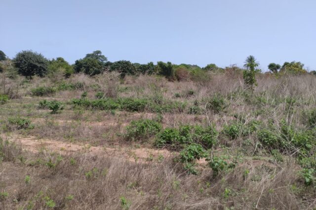 Terrain agricole 10.200 m² à vendre – Diémbéring