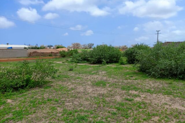 Terrain agricole de 1,57 ha à vendre à Keur Moussa – Sénégal