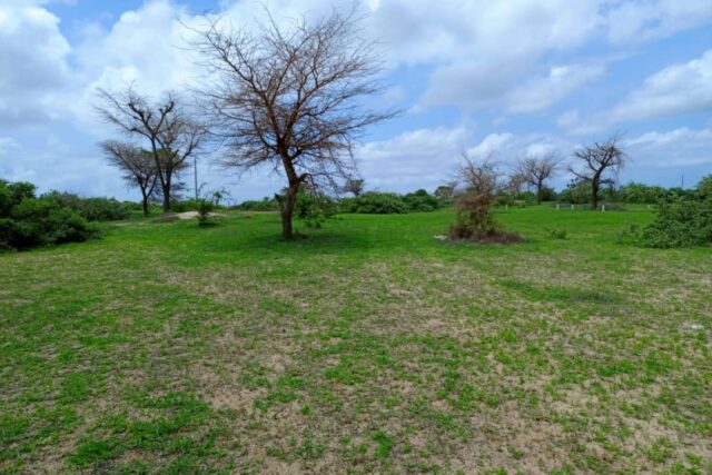 Terrain agricole de 1,57 ha à vendre à Keur Moussa – Sénégal