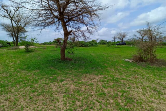 Terrain agricole de 1,57 ha à vendre à Keur Moussa – Sénégal